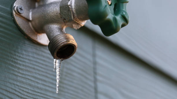 Best Sewer Line Repair  in Augusta, KY